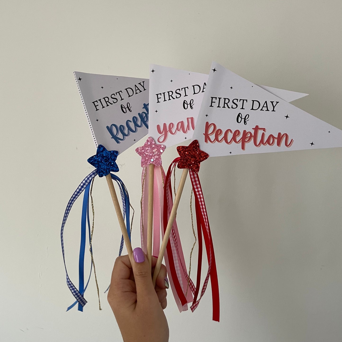 School Flag (ACTUAL)